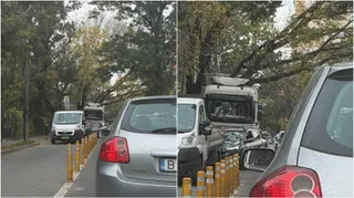 Un camion alb este blocat sub ramurile unui copac pe o stradă cu mașini parcate și alte vehicule circulând.