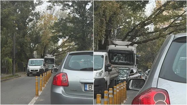 Un camion alb este blocat sub ramurile unui copac pe o stradă cu mașini parcate și alte vehicule circulând.