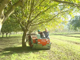 Două persoane stau lângă un utilaj agricol de culoare roșie și verde într-o livadă cu copaci mari și iarbă.