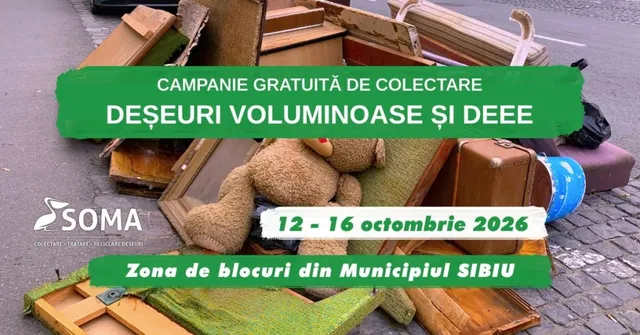 Un grup de obiecte vechi, inclusiv un urs de pluș, piese de mobilier din lemn și un colțar, sunt depozitate pe un trotuar pavat.