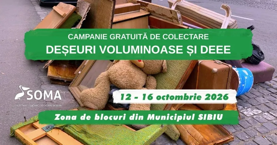 Un grup de obiecte vechi, inclusiv un urs de pluș, piese de mobilier din lemn și un colțar, sunt depozitate pe un trotuar pavat.