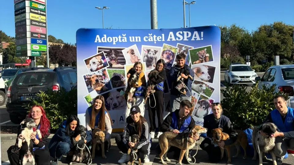Un grup de oameni stă în fața unui panou publicitar albastru ținând câini de diverse talii și culori.