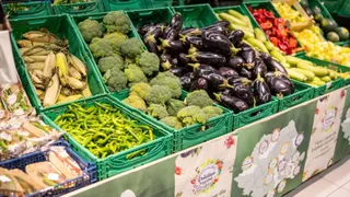 Mai multe cutii de plastic verde conțin diverse legume precum dovlecei, broccoli, vinete, ardei și porumb dispuse pe un stand de prezentare.