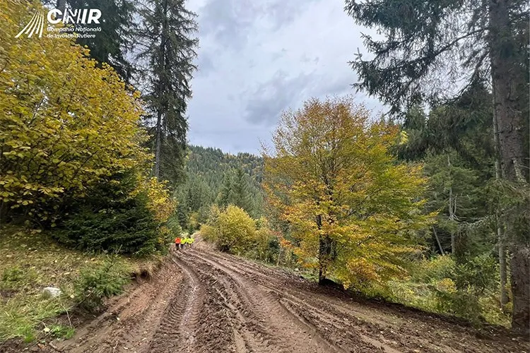 Un drum de țară din noroi străbate o pădure cu copaci cu frunze verzi și galbene sub un cer înnorat.