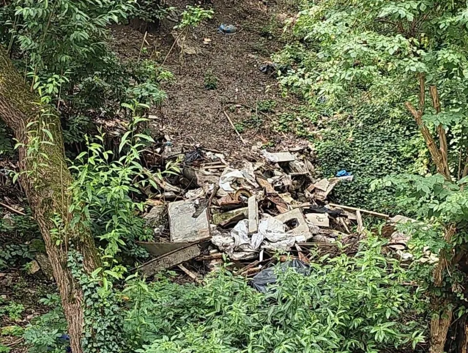 Un amestec de deșeuri, resturi de lemn și materiale albe este situat pe un teren împădurit printre plante verzi și trunchiuri de copaci.