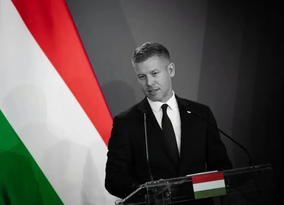 Un bărbat într-un costum negru și cravată neagră stă în spatele unui podium lângă un steag cu dungi orizontale roșu, alb și verde.