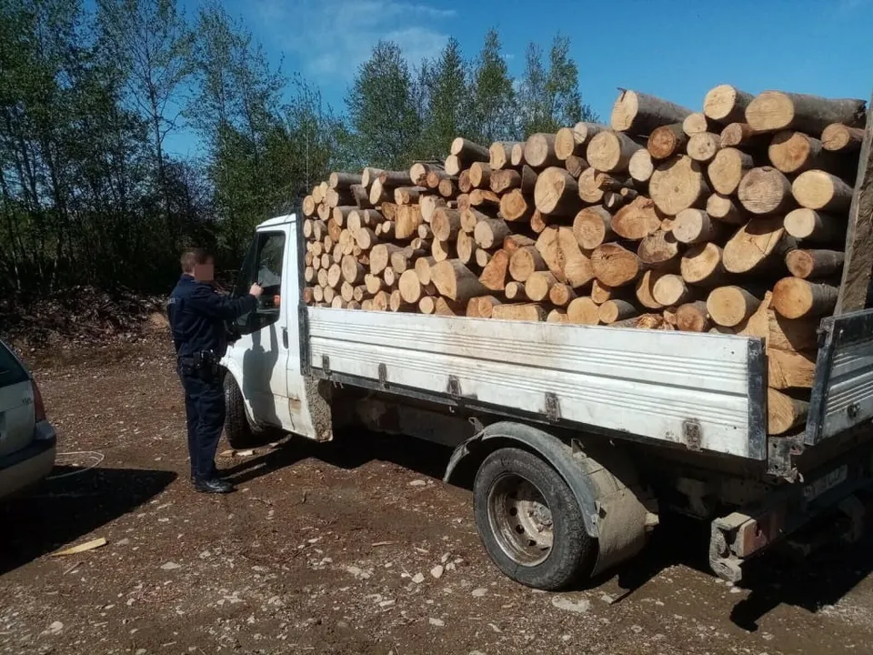 Un bărbat în haine închise stă lângă cabina unui camion alb care transportă o încărcătură de bușteni de lemn pe un teren de pământ.