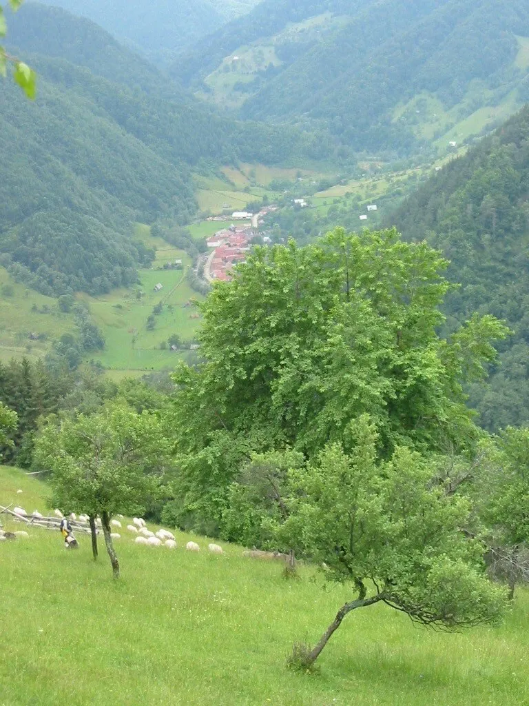 O vedere de la înălțime asupra unui văi verzi cu copaci, iarbă și câteva case mici grupate în depărtare.
