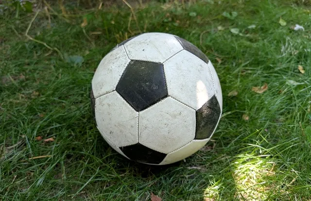 Un fotbal alb cu pete negre este așezat pe iarbă verde sub lumină solară directă.