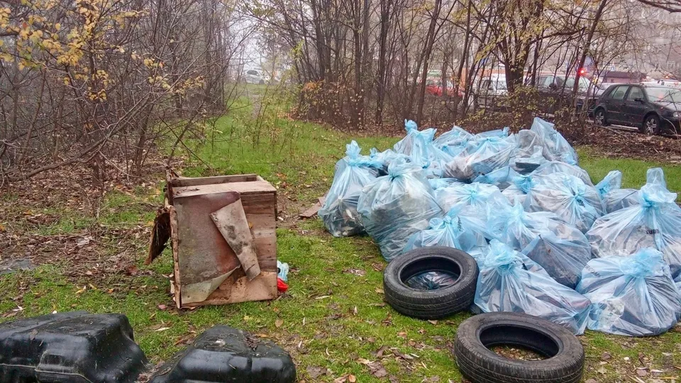 Mai multe saci de plastic albastru, două anvelope și un dulap de lemn sunt depozitate pe iarbă lângă copaci.