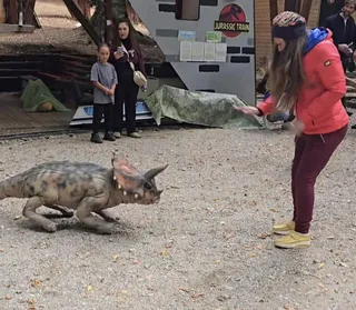 O femeie cu o jachetă roz și pantaloni vișiniu stă în picioare lângă o figură de dinozaur pe un teren de pietriș.