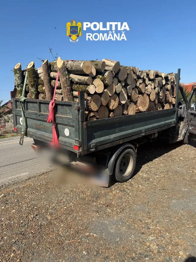 Un camion cu platformă deschisă transportă o încărcătură de bușteni de lemn pe un drum asfaltat sub un cer senin.