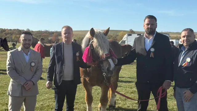 Patru bărbați stau pe un câmp verde lângă un cal maro cu coama albă și frânghie roz.
