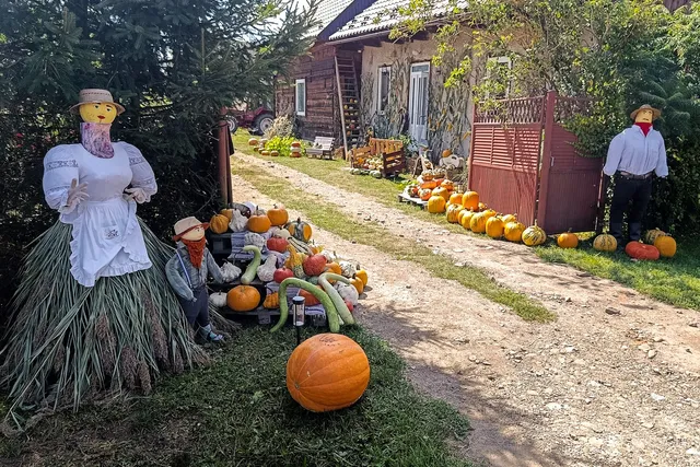 Două păpuși din paie cu haine sunt așezate lângă un grup de dovleci și legume pe un drum de țară lângă o casă.