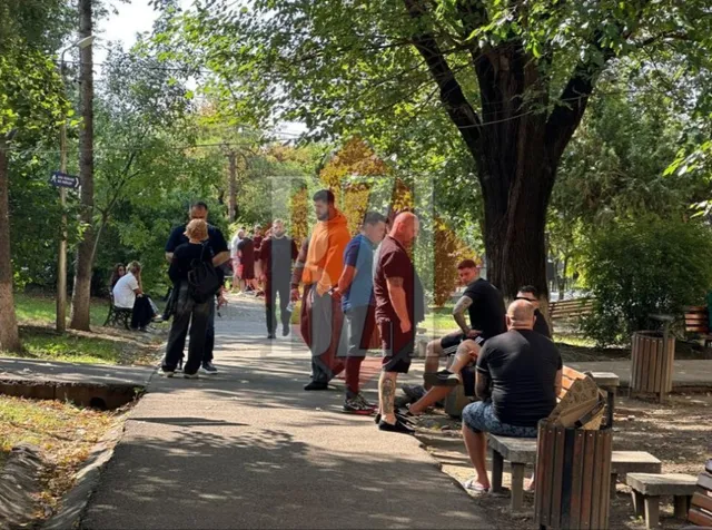 Un grup de persoane stă pe o cărare pietonă în parc, lângă un copac mare și bănci de lemn sub lumina soarelui.