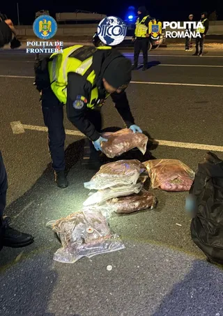 Un agent de poliție în vest reflectorizant se apleacă peste mai multe pungi mari de plastic conținând substanță maronie întinsă pe asfaltul unei drumuri.
