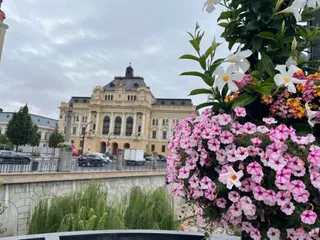 Clădire istorică în fundal, străzi cu mașini și flori albe, mov și roz în prim-plan.