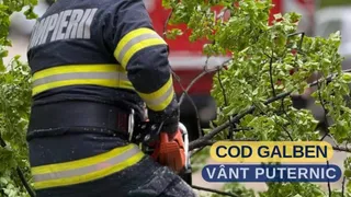Un pompier în uniformă cu benzi reflectorizante galbene este poziționat lângă ramuri verzi de copaci.