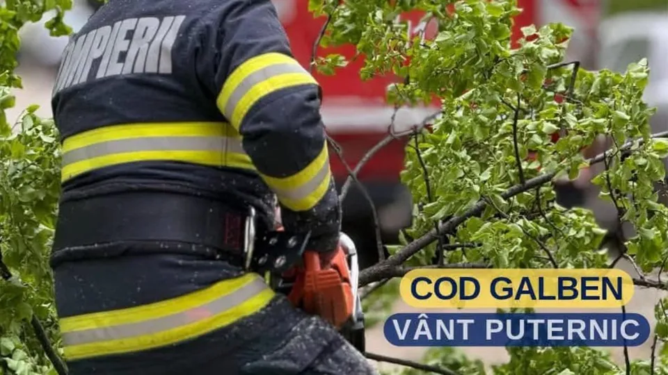 Un pompier în uniformă cu benzi reflectorizante galbene este poziționat lângă ramuri verzi de copaci.
