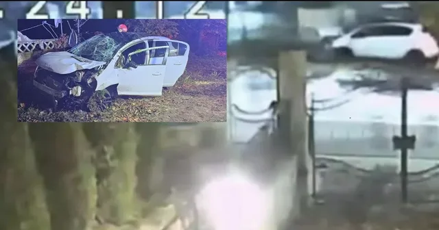 Un autoturism alb cu portierele deschise este situat pe un teren cu iarbă lângă un copac.