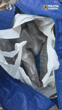 Mai multe pungi de plastic transparente conținând o substanță gri sunt așezate în interiorul unei genți de culoare albastră deschisă.