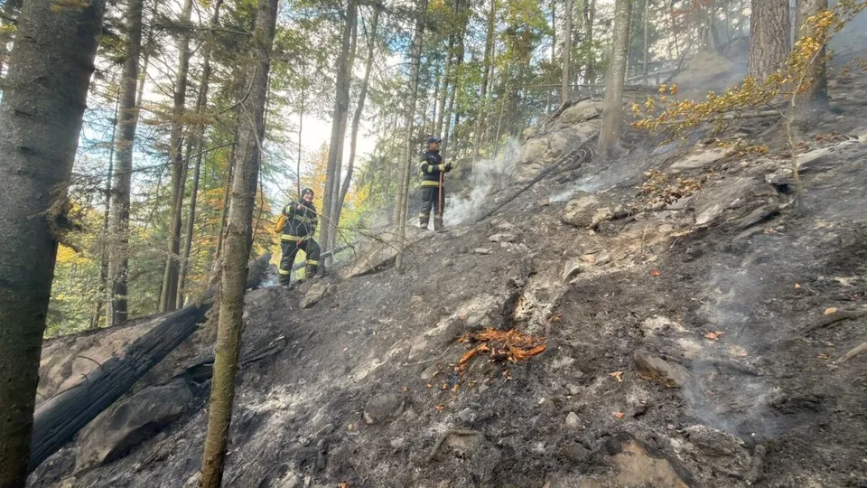 Două persoane în uniforme de protecție stau pe un teren înclinat, acoperit de cenușă și resturi vegetale, printre copaci înalți.