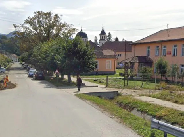 O stradă asfaltată este deschisă, având mașini parcate pe marginea ei, copaci verzi și clădiri cu acoperișuri în fundal sub un cer înnorat.