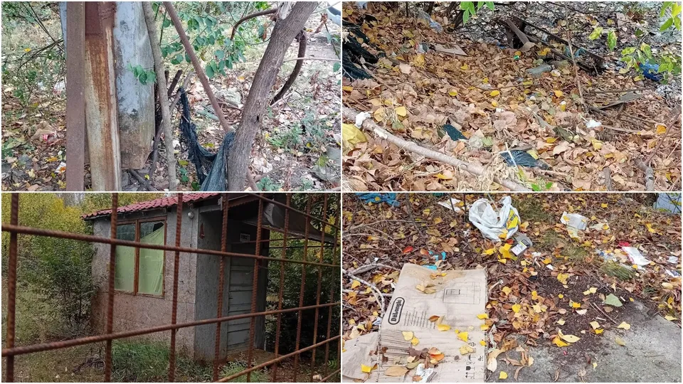 Un colaj de patru imagini prezintă un teren cu frunze uscate, deșeuri împrăștiate pe sol, un stâlp de lemn și o mică construcție de beton.