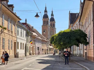 O stradă urbană cu clădiri vechi, un copac verde și un bărbat stând pe trotuar sub un cer senin.