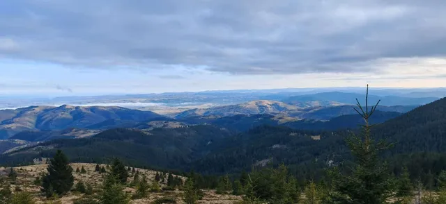Peisaj montan cu dealuri acoperite de păduri sub un cer înzăpezit de nori.