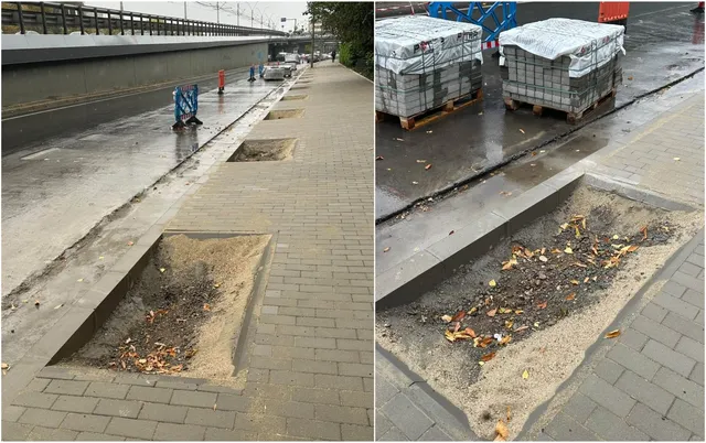 Două cavități dreptunghiulare cu pământ și frunze sunt situate pe un trotuar pavat lângă o stradă umedă.