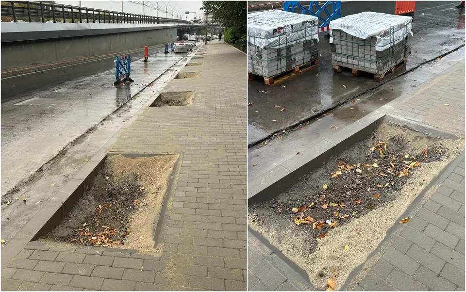 Două cavități dreptunghiulare cu pământ și frunze sunt situate pe un trotuar pavat lângă o stradă umedă.
