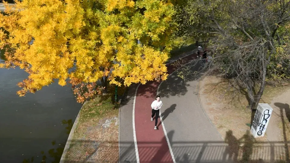 O persoană merge pe o potecă de culoare roșie lângă un lac, înconjurat de copaci cu frunze galbene și verzi.