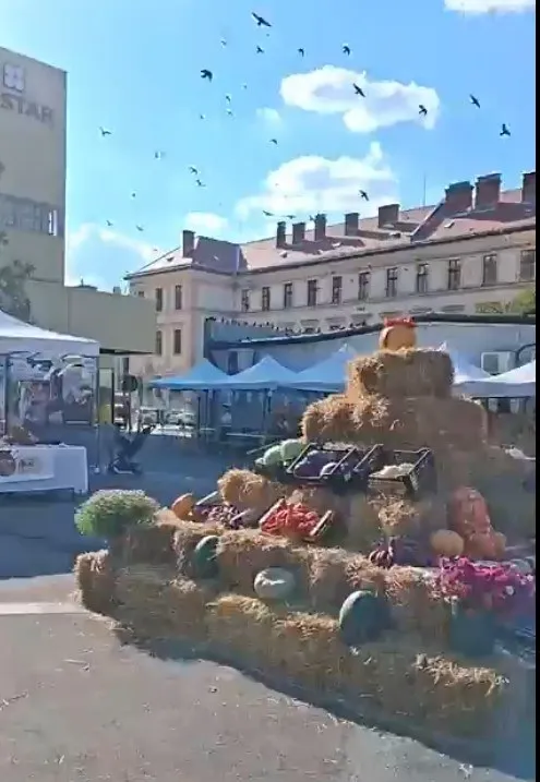 Mai multe grămezi de paie susțin diverse fructe, legume și coșuri pe o piață publică aflată în fața unor clădiri sub un cer cu păsări.