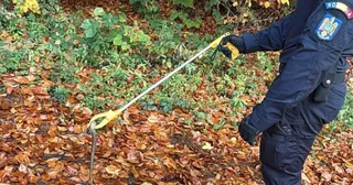 O persoană în uniformă albastră folosește un instrument lung și galben pentru a prinde un șarpe de pe un covor de frunze uscate.