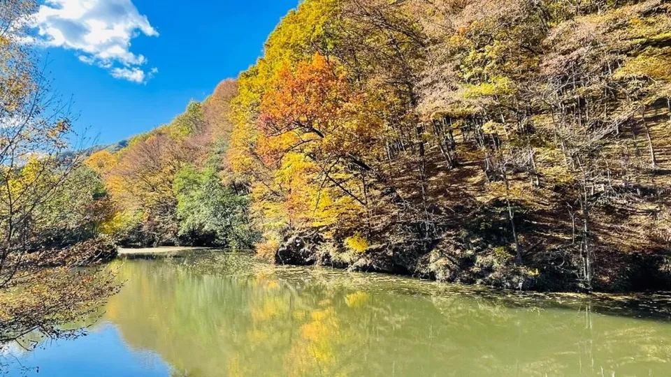 Un râu curge printre versanți acoperiți de copaci cu frunziș galben și portocaliu sub un cer albastru cu nori albi.