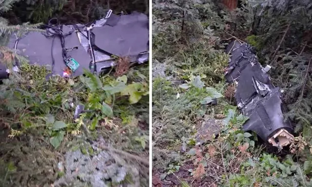 Două fotografii prezintă resturile unui obiect tehnologic de culoare închisă, parțial acoperite de vegetație și frunziș într-o zonă cu copaci.