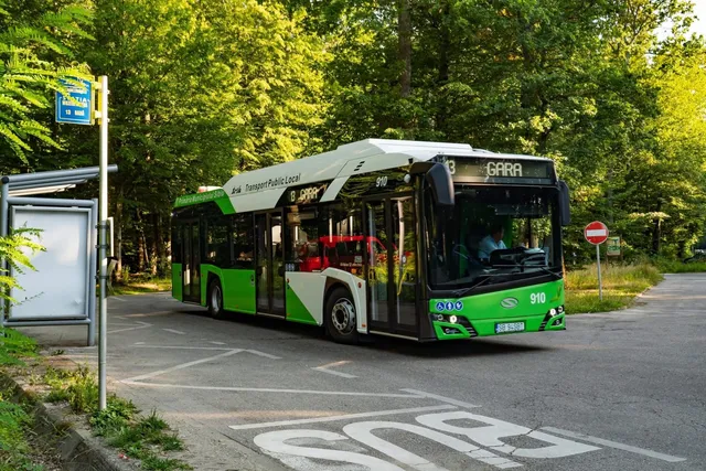 Un autobuz alb și verde circulă pe un drum asfaltat lângă un copac și un indicator de circulație sub o vegetație densă.