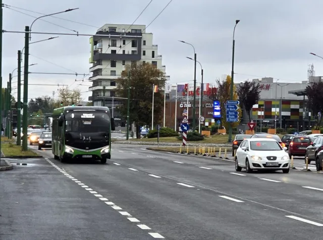 Un autobuz verde și negru circulă pe un drum asfaltat cu mașini albe și colorate în partea dreaptă, sub un cer înnorat.