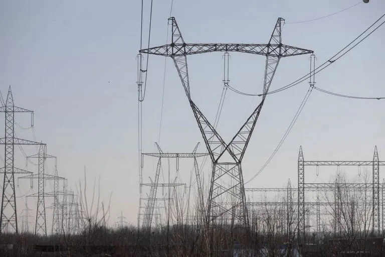 Mai multe turnuri de înaltă tensiune și cabluri electrice sunt situate deasupra unor copaci fără frunze sub un cer deschis.