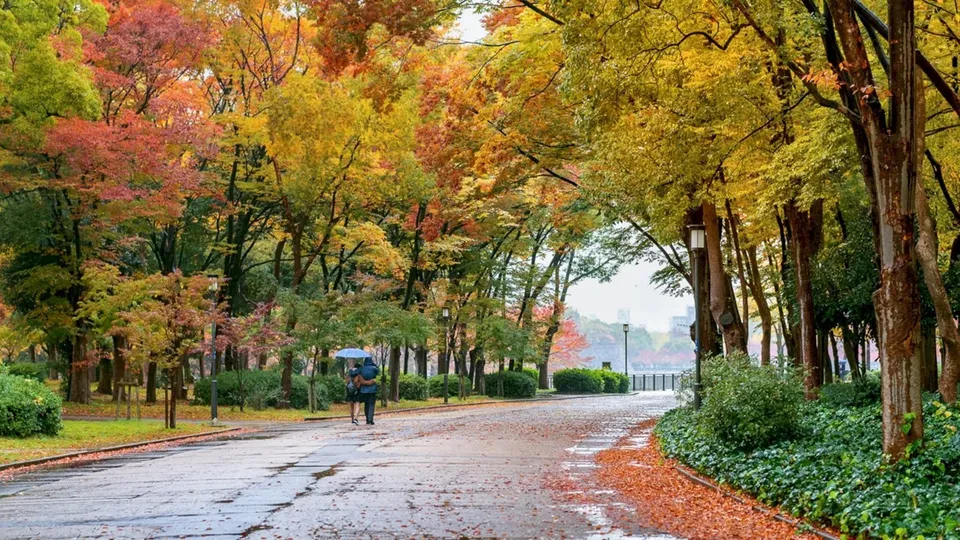 O stradă umedă este înconjurată de copaci cu frunze colorate în nuanțe de galben, portocaliu și verde, având două persoane cu o umbrelă în fundal.