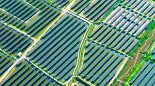 O vedere aeriană prezintă numeroase rânduri paralele de panouri solare albastre dispuse pe un teren verde cu alei de acces înguste între ele.