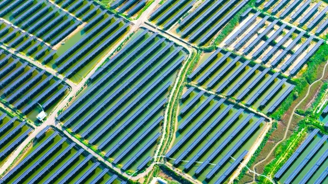 O vedere aeriană prezintă numeroase rânduri paralele de panouri solare albastre dispuse pe un teren verde cu alei de acces înguste între ele.