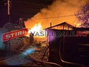 Flăcări mari și fum dens se ridică deasupra unor structuri de lemn și materiale în timpul nopții, lângă un furtun de apă întins pe sol.