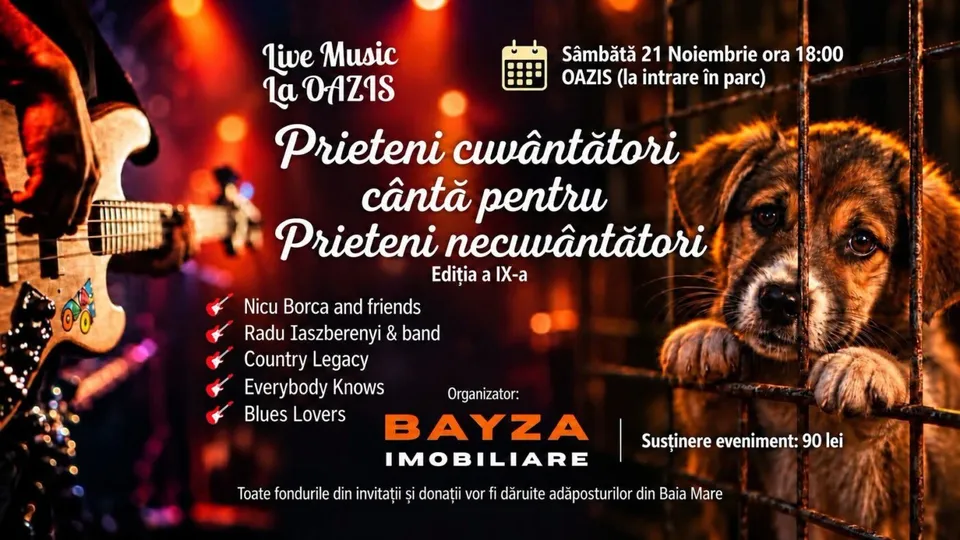 Un poster cu text alb pe fundal roșu și portocaliu, afișând o chitară electrică și doi căței privind prin gratii metalice.