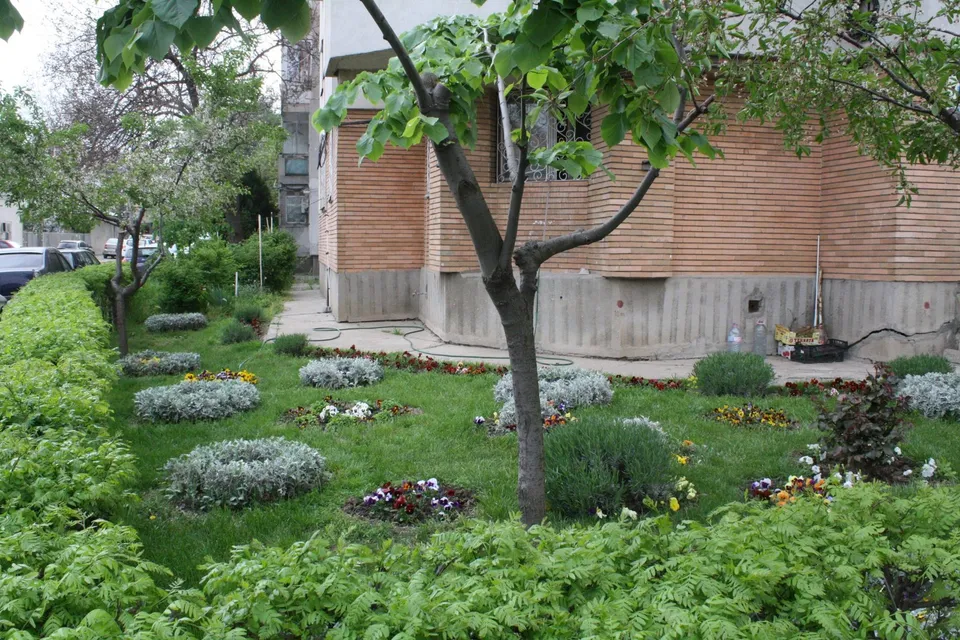 O grădină bine îngrijită cu gazon, arbuști ornamentali, flori și copaci în fața unui bloc de locuințe.