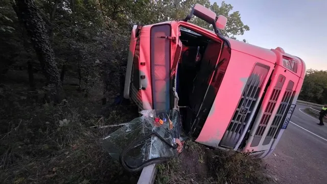 Un camion de culoare roz este răsturnat pe o parte, într-o zonă cu vegetație și lângă un drum asfaltat.