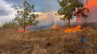 Flăcări mari ard printre copaci și vegetație uscată pe un deal sub un cer înnorat.
