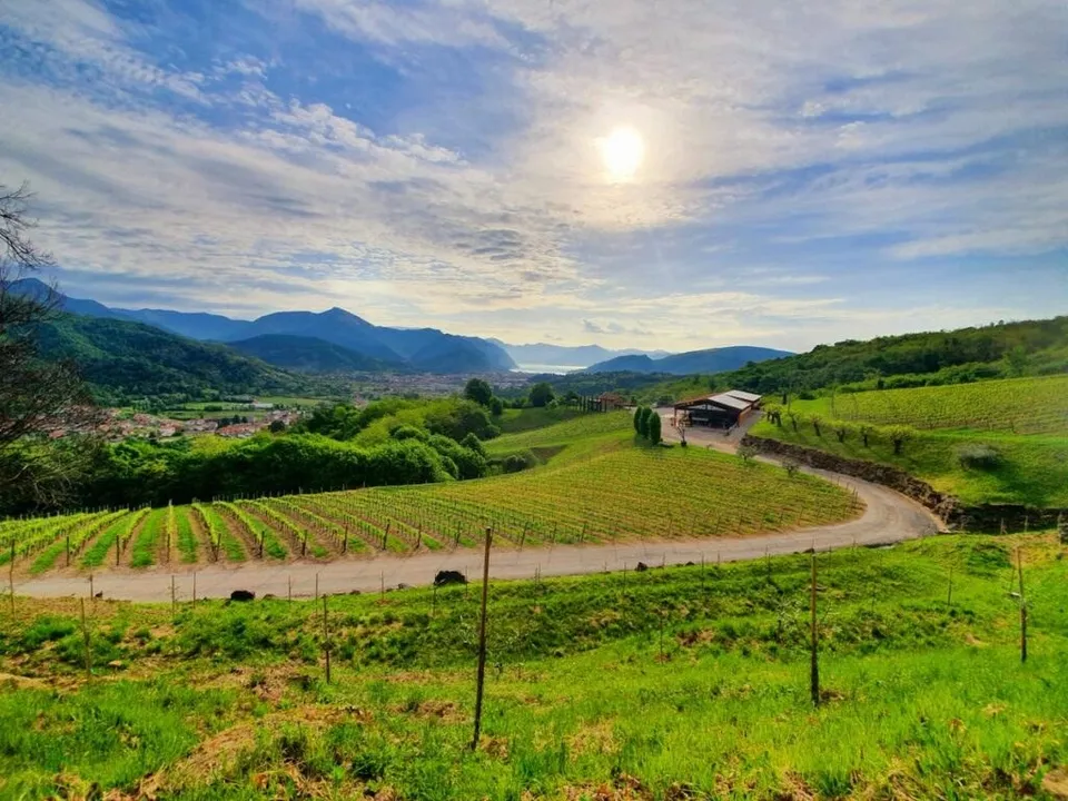 O vedere de ansamblu asupra unui peisaj rural cu dealuri verzi, un drum șerpuitor și munți în fundal sub un cer înzăpezit de nori.