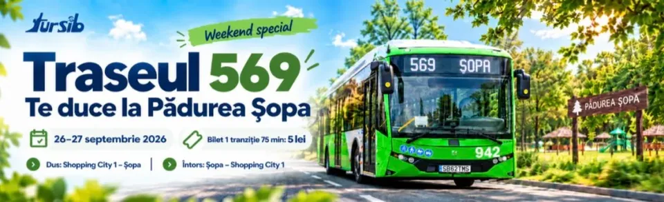 Un autobuz verde și alb circulă pe un drum asfaltat lângă o zonă împădurită sub un cer senin.